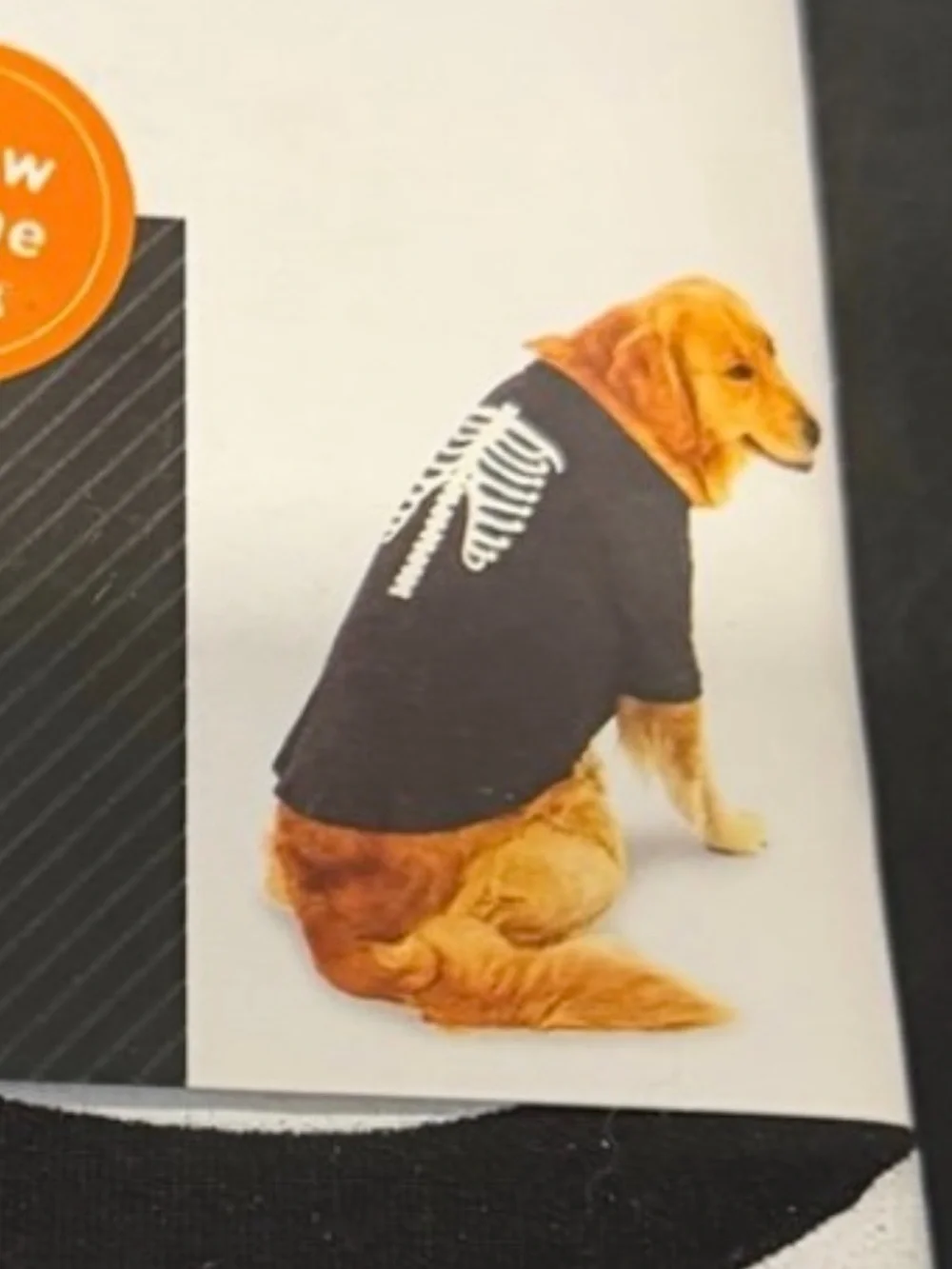 Celebrate It Black & White Halloween PJ for Pets - Glow Design